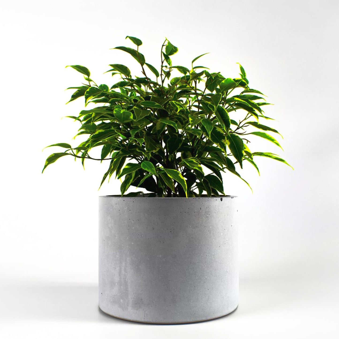 Blumentopf Beton - rund