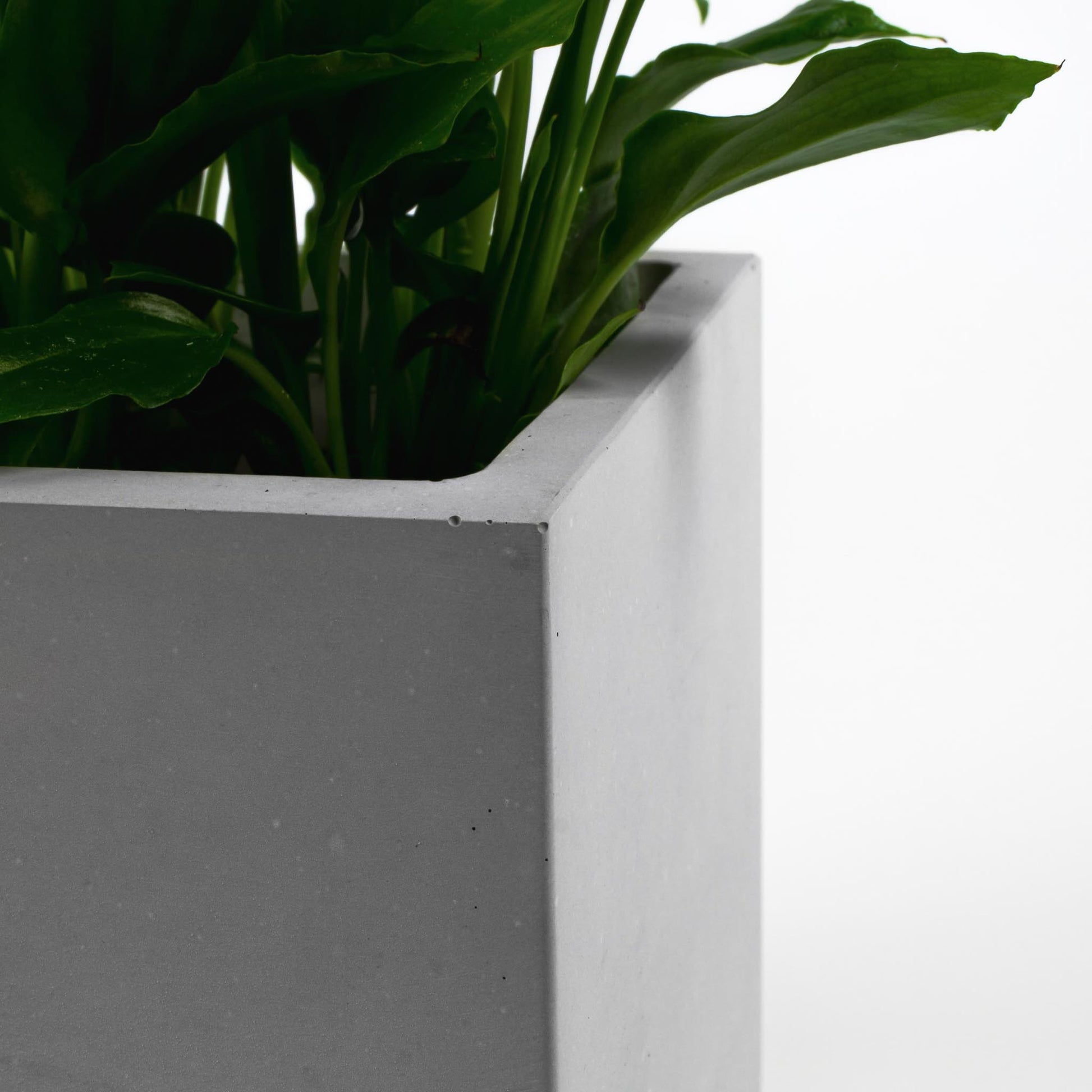 Eckiger Blumentopf aus Beton im Wohnambiente