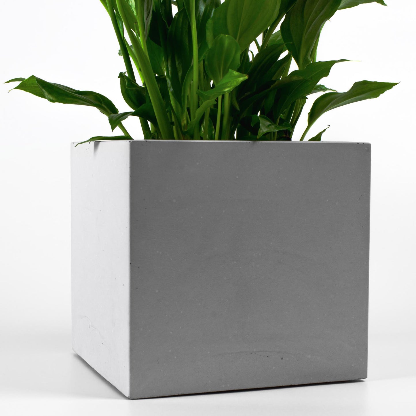 Detailansicht Blumentopf aus Beton eckig mit Pflanze